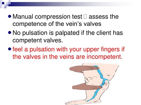 manual compression test veins|peripheral venous cough exam.